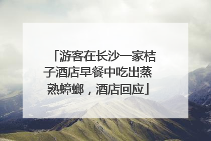 游客在长沙一家桔子酒店早餐中吃出蒸熟蟑螂，酒店回应