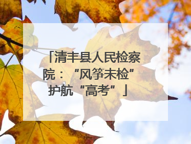 清丰县人民检察院：“风筝未检”护航“高考”