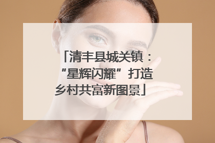 清丰县城关镇：“星辉闪耀”打造乡村共富新图景