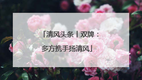 清风头条丨双牌：多方携手扬清风