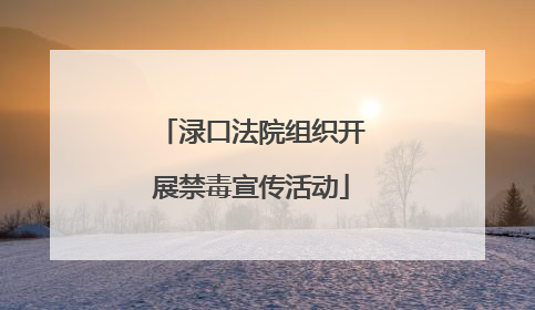 渌口法院组织开展禁毒宣传活动