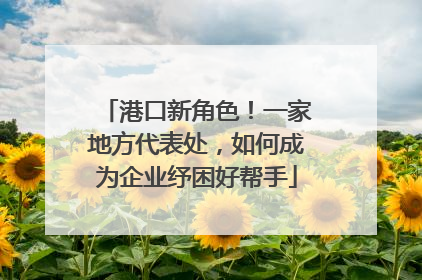 港口新角色！一家地方代表处，如何成为企业纾困好帮手