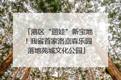 港区“遛娃”新宝地！我省首家洛嘉森乐园落地苑城文化公园