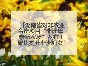 湖南省对非农业合作项目“非洲母亲新农场”发布！聚焦提升非洲妇女能力与家庭福祉