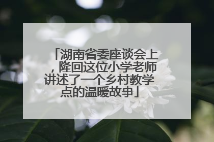 湖南省委座谈会上，隆回这位小学老师讲述了一个乡村教学点的温暖故事
