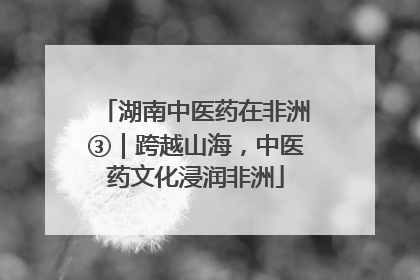 湖南中医药在非洲③｜跨越山海，中医药文化浸润非洲