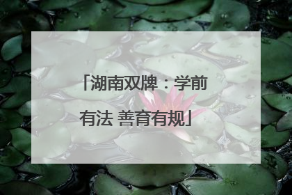 湖南双牌：学前有法 善育有规