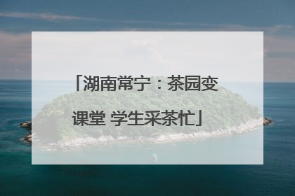 湖南常宁：茶园变课堂 学生采茶忙