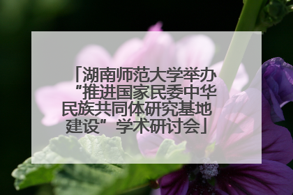 湖南师范大学举办“推进国家民委中华民族共同体研究基地建设”学术研讨会