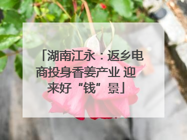 湖南江永：返乡电商投身香姜产业 迎来好“钱”景