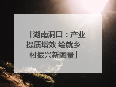湖南洞口：产业提质增效 绘就乡村振兴新图景