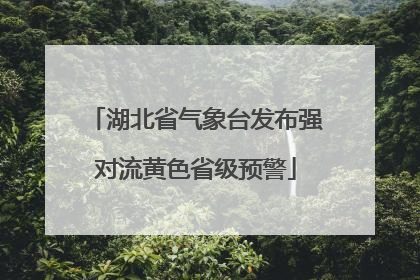 湖北省气象台发布强对流黄色省级预警