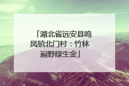 湖北省远安县鸣凤镇北门村：竹林遍野绿生金