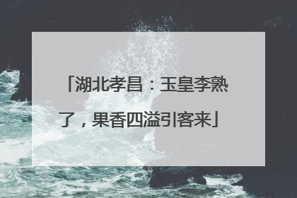 湖北孝昌：玉皇李熟了，果香四溢引客来