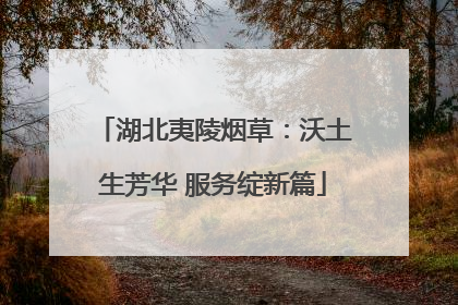 湖北夷陵烟草：沃土生芳华 服务绽新篇