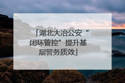 湖北大冶公安“闭环管控”提升基层警务质效