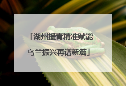 湖州援青精准赋能 乌兰振兴再谱新篇