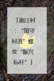 湘江村：“留守村落”蝶变“振兴标杆”