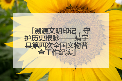 溯源文明印记，守护历史根脉——靖宇县第四次全国文物普查工作纪实