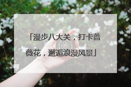 漫步八大关，打卡蔷薇花，邂逅浪漫风景