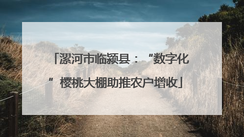 漯河市临颍县:“数字化”樱桃大棚助推农户增收