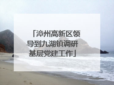 漳州高新区领导到九湖镇调研基层党建工作