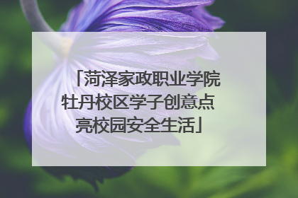 菏泽家政职业学院牡丹校区学子创意点亮校园安全生活
