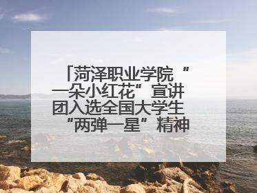 菏泽职业学院“一朵小红花”宣讲团入选全国大学生“两弹一星”精神宣讲团
