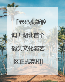 老码头新腔调！湖北首个码头文化演艺区正式亮相