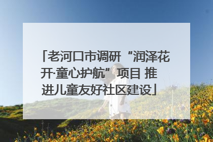 老河口市调研“润泽花开·童心护航”项目 推进儿童友好社区建设