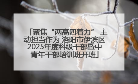聚焦“两高四着力” 主动担当作为 洛阳市伊滨区2025年度科级干部暨中青年干部培训班开班