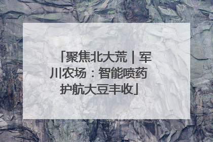 聚焦北大荒｜军川农场：智能喷药护航大豆丰收