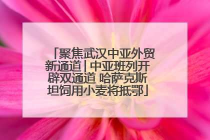 聚焦武汉中亚外贸新通道│中亚班列开辟双通道 哈萨克斯坦饲用小麦将抵鄂