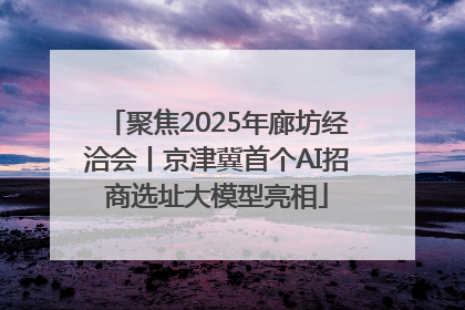 聚焦2025年廊坊经洽会丨京津冀首个AI招商选址大模型亮相