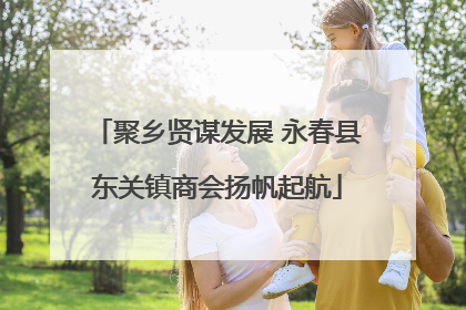 聚乡贤谋发展 永春县东关镇商会扬帆起航