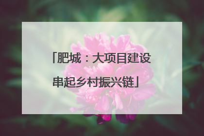 肥城：大项目建设串起乡村振兴链