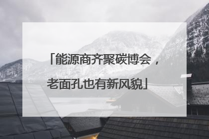 能源商齐聚碳博会，老面孔也有新风貌