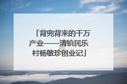 背兜背来的千万产业——清镇民乐村杨敏珍创业记