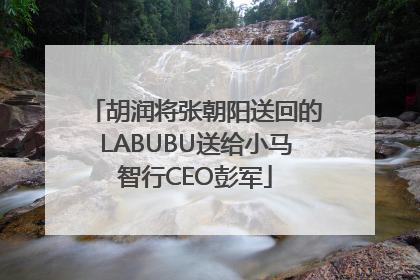胡润将张朝阳送回的LABUBU送给小马智行CEO彭军