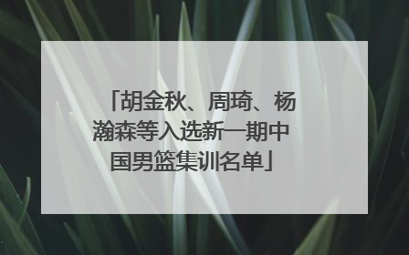 胡金秋、周琦、杨瀚森等入选新一期中国男篮集训名单
