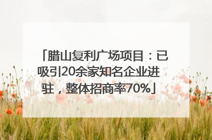 腊山复利广场项目：已吸引20余家知名企业进驻，整体招商率70%