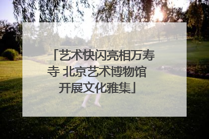 艺术快闪亮相万寿寺 北京艺术博物馆开展文化雅集