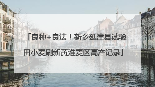良种+良法！新乡延津县试验田小麦刷新黄淮麦区高产记录