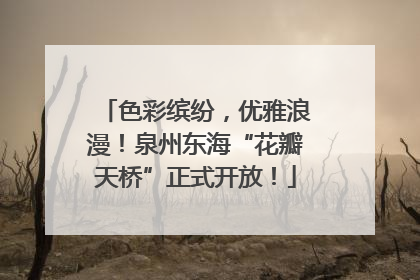 色彩缤纷，优雅浪漫！泉州东海“花瓣天桥”正式开放！