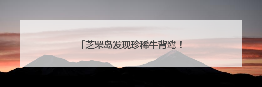 芝罘岛发现珍稀牛背鹭！政民携手护生灵重返自然