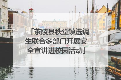 茶陵县秩堂镇选调生联合多部门开展安全宣讲进校园活动