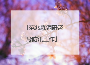范兆森调研督导防汛工作