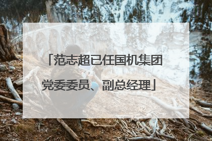 范志超已任国机集团党委委员、副总经理