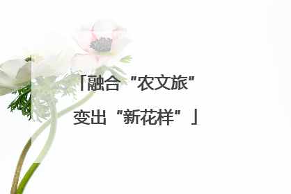 融合“农文旅” 变出“新花样”