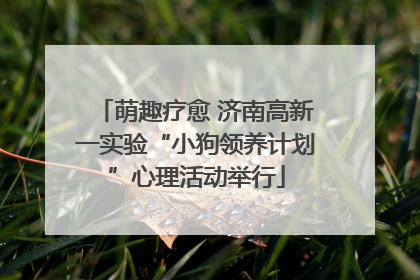 萌趣疗愈 济南高新一实验“小狗领养计划”心理活动举行